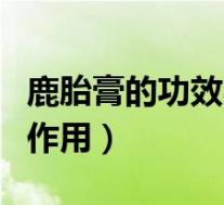 鹿胎膏的功效与作用及禁忌(鹿胎膏的功效与作用)