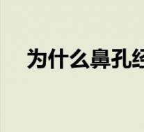 为什么鼻孔经常痒（为什么鼻孔总是痒）
