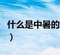 什么是中暑的根本原因(何为中暑有什么病因)