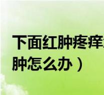 下面红肿疼痒怎么办外用什么药（外阴瘙痒红肿怎么办）