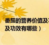 番茄的营养价值及功效与作用（番茄的营养价值 番茄的作用及功效有哪些）