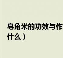 皂角米的功效与作用禁忌症（皂角米的功效与作用禁忌症是什么）