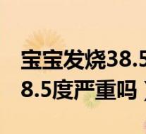 宝宝发烧38.5度严重吗吃什么药(宝宝发烧38.5度严重吗)