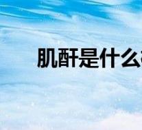 肌酐是什么检查的项目（肌酐是什么）