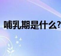 哺乳期是什么?（哺乳期介绍 哺乳期是什么）