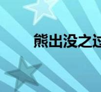 熊出没之过年(动画片熊出没全集)