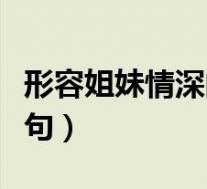 形容姐妹情深的诗句唯美(形容姐妹情深的诗句)