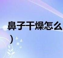 鼻子干燥怎么回事有鼻音(鼻子干燥怎么回事)