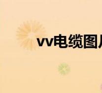 vv电缆图片(yjv和vv电缆的区别)
