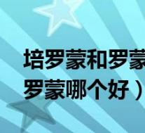 培罗蒙和罗蒙之间是什么关系啊?(培罗蒙和罗蒙哪个好)