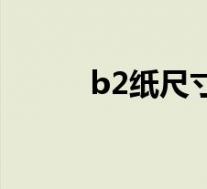 b2纸尺寸是多少厘米(b2尺寸)