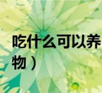 吃什么可以养胃促消化的食物（健胃消食的食物）