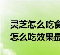 灵芝怎么吃食用方法(灵芝的食用方法 灵芝怎么吃效果最好)
