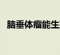 脑垂体瘤能生孩子吗(脑垂体瘤能活多久)