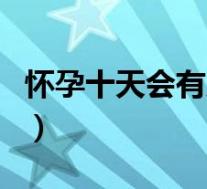 怀孕十天会有反应吗（怀孕半个月会有反应吗）