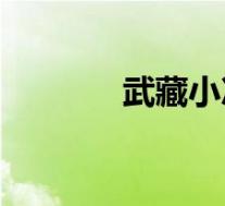武藏小次郎cp(武藏小次郎)