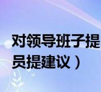 对领导班子提出建议(如何对单位领导班子成员提建议)