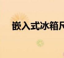 嵌入式冰箱尺寸规格(嵌入式冰箱尺寸)