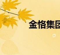 金恪集团副董事长(金恪集团)