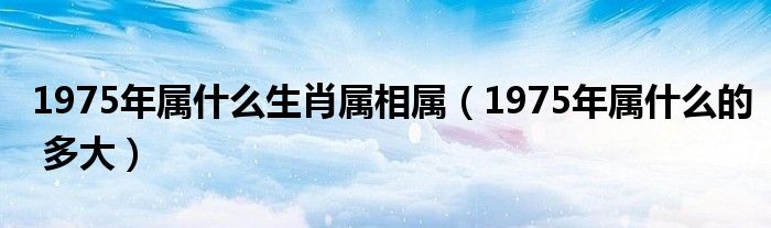 简洁的1975年属什么生肖的图片