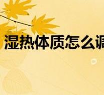 湿热体质怎么调理脾胃(湿热体质怎么调理)