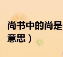 尚书中的尚是什么意思啊(尚书中的尚是什么意思)