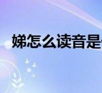 娣怎么读音是什么字(娣怎么读音是什么)