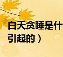 白天贪睡是什么原因引起的（贪睡是什么原因引起的）