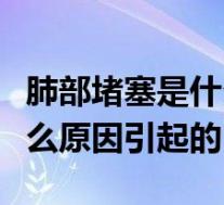 肺部堵塞是什么原因引起的呢（肺部堵塞是什么原因引起的）
