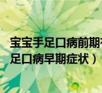 宝宝手足口病前期有哪些症状（宝宝手足口病的先兆 小儿手足口病早期症状）
