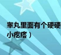 睾丸里面有个硬硬的小疙瘩吃什么药（睾丸里面有个硬硬的小疙瘩）