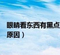 眼睛看东西有黑点是什么原因导致（眼睛看东西有黑点什么原因）