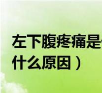 左下腹疼痛是什么原因引起的(左下腹疼痛是什么原因)
