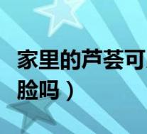 家里的芦荟可以直接擦脸吗（芦荟可以直接擦脸吗）