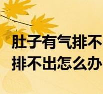 肚子有气排不出怎么办整天想大便（肚子有气排不出怎么办）