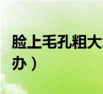 脸上毛孔粗大怎么办男生(脸上毛孔粗大怎么办)