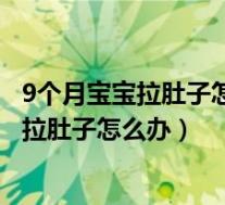 9个月宝宝拉肚子怎么办最快的方法小妙招图片（9个月宝宝拉肚子怎么办）