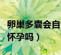 卵巢多囊会自然怀孕吗知乎（卵巢多囊会自然怀孕吗）