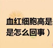 血红细胞高是怎么回事（平均红细胞体积偏高是怎么回事）