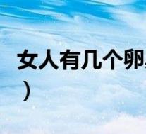 女人有几个卵巢几个输卵管（女人有几个卵巢）