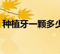 种植牙一颗多少钱海口(种植牙一颗多少钱)