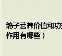 鸽子营养价值和功效与作用（鸽子的营养价值 鸽子的功效与作用有哪些）