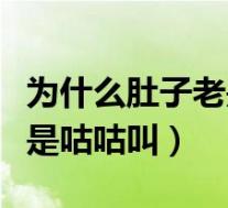 为什么肚子老是咕咕叫不放屁（为什么肚子老是咕咕叫）