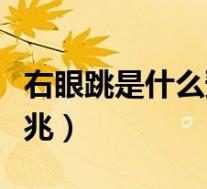 右眼跳是什么预兆周公解梦(右眼跳是什么预兆)