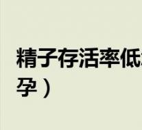 精子存活率低怎么治疗（精子存活率低怎么怀孕）