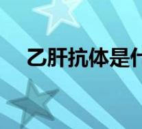乙肝抗体是什么样的（乙肝抗体是什么）