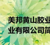 美邦黄山胶业有限公司怎么样(美邦-黄山胶业有限公司简介)