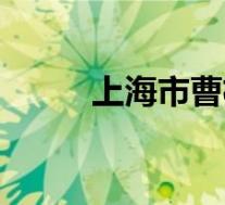 上海市曹杨职校(曹杨职校简介)
