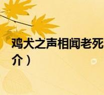 鸡犬之声相闻老死不相往来(鸡犬之声相闻老死不相往来简介)