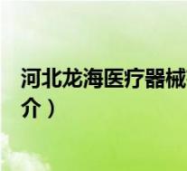河北龙海医疗器械有限公司(河北龙海网络科技有限公司简介)